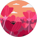 Google User profile picture